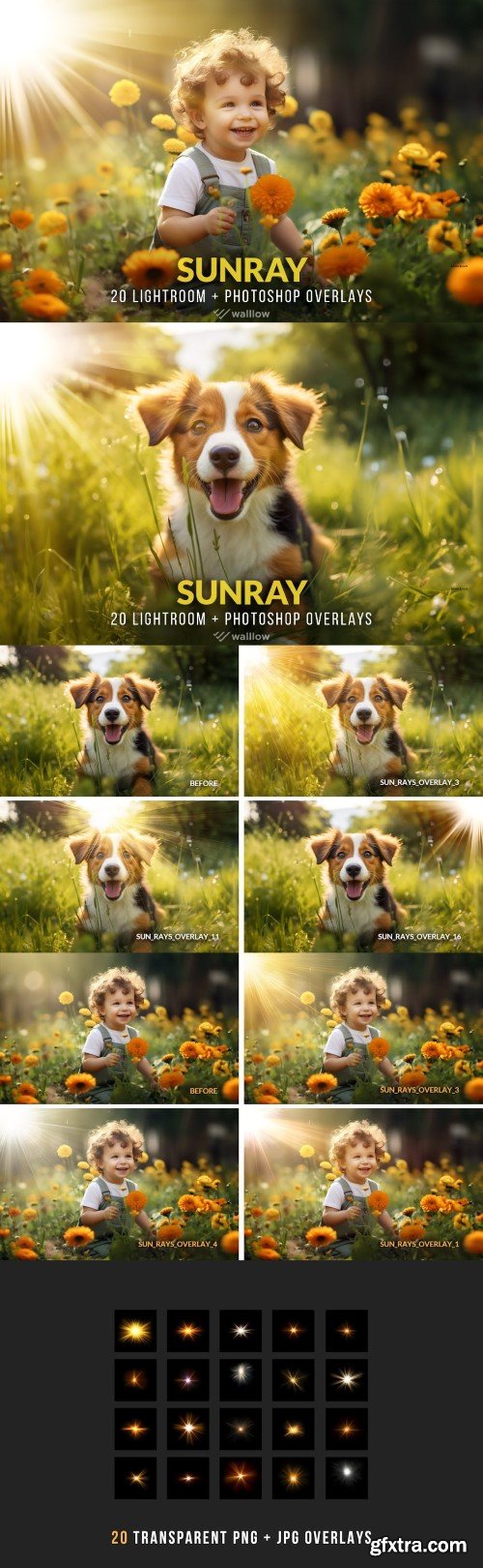 Creativemarket - Realistic sunlight overlays PNG and JPG