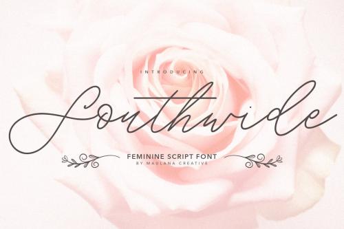 Southwide Feminine Script Font