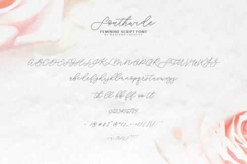 Southwide Feminine Script Font