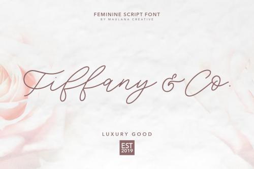 Southwide Feminine Script Font