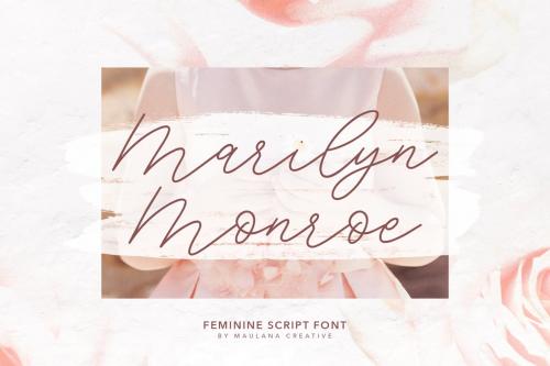 Southwide Feminine Script Font