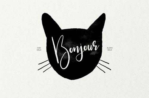 Little Kittens Brush Calligraphy Font