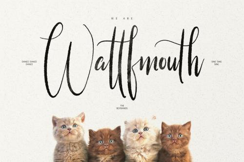 Little Kittens Brush Calligraphy Font