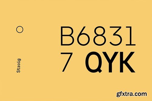 Stroig - Hybrid Urbanist Font Family 6W82S9K