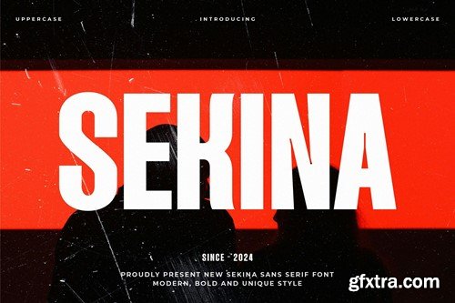 SEKINA - Modern Condensed Sans Serif Q7XZ2LC