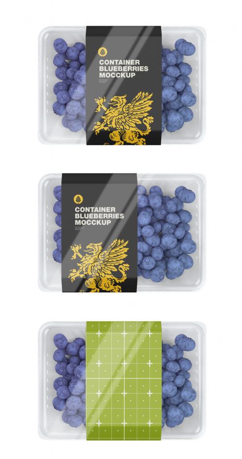 Blueberries Container Mockup - 460400995