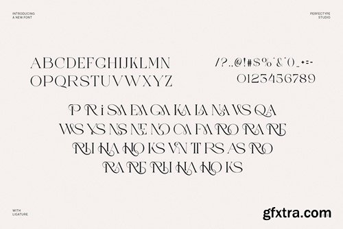 Girona Elegant Serif Font Typefac FMDB894