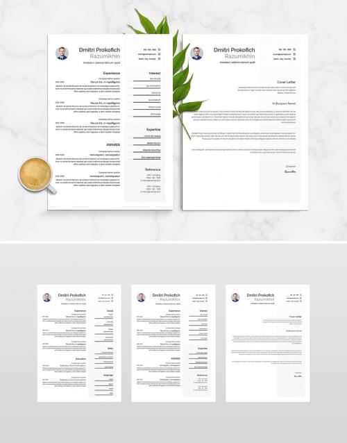 Creative Resume - 461121314