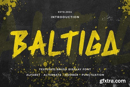 BALTIGA - Textured Brush Font MSSBMMC