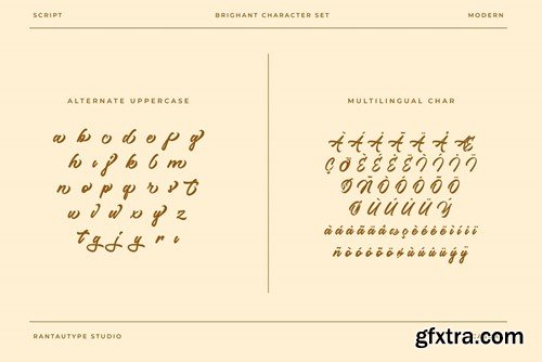 Brighant Business Script Font HXNMGS7