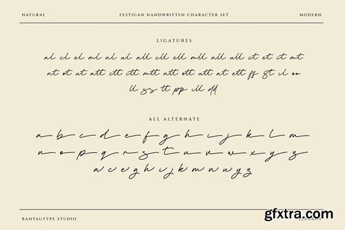 Festigan Business Handwritten Font 7SLTGCF