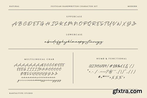 Festigan Business Handwritten Font 7SLTGCF