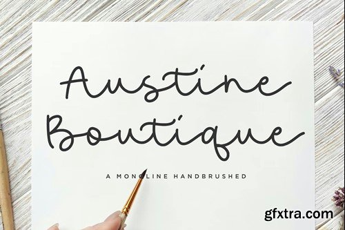 Austine Boutique Script Font VNXXRGA