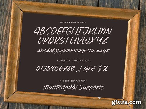 Ginger Rooted Script Font ZVLACE4