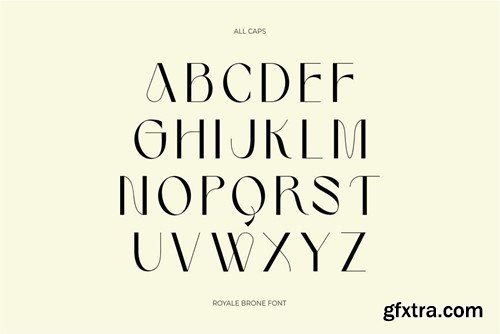 Royale Brone Elegant Stylish Serif Font 2SX3ZGK