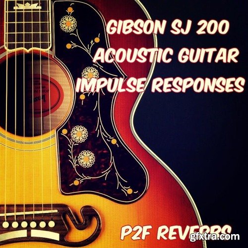 PastToFutureReverbs Gibson SJ 200 & Taylor 314CE Acoustic Guitar Profiles For Kemper