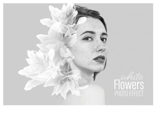 Photo Effect Flowers White - 461747713