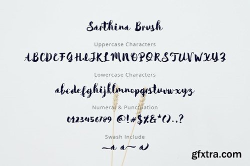 Sarthina Brush 8UXUD7S