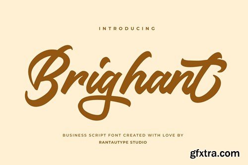 Brighant Business Script Font HXNMGS7