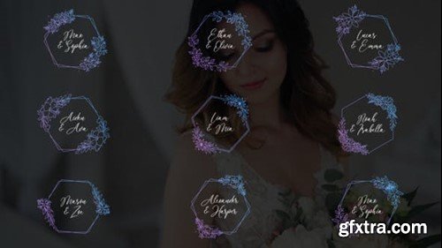 Videohive Wedding Titles - Hexagon Frames 51049687