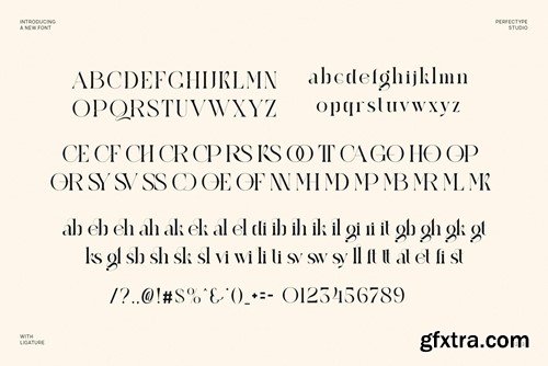 Regkan Elegant Ligature Serif Font Typeface YK672YU