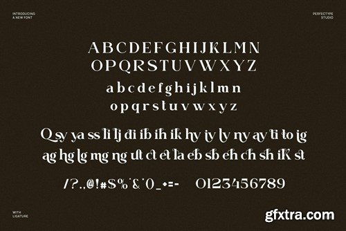 Qaiken Elegant Ligature Serif Font Typeface DVN993G