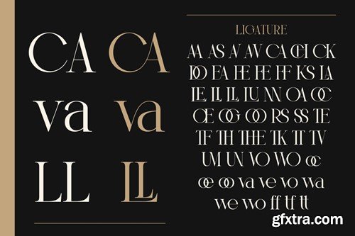 Vostela - Elegant Serif Display ZLH49V4