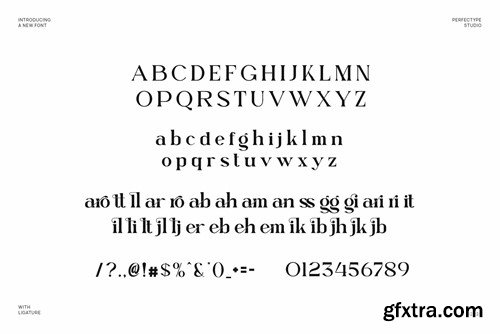 Mettaro Elegant Ligature Serif Font Typeface 536YWV5