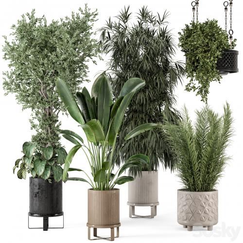 Indoor Plants in Ferm Living Bau Pot Large - Set 474