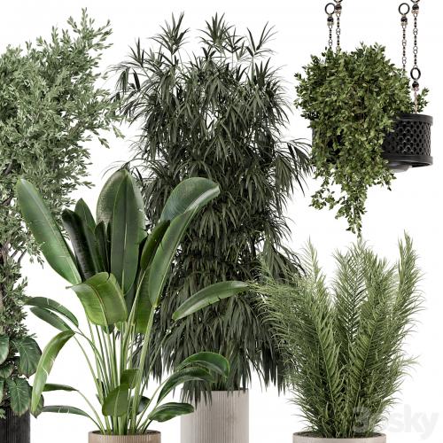 Indoor Plants in Ferm Living Bau Pot Large - Set 474