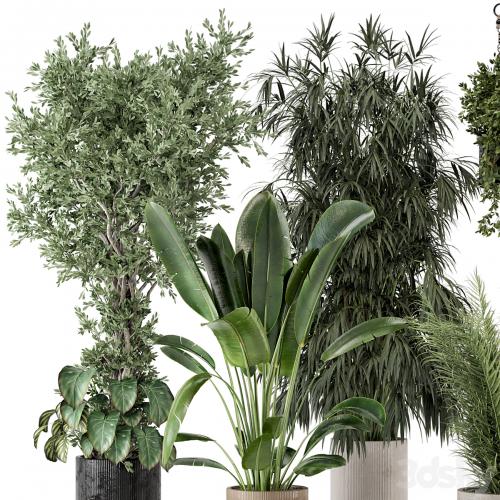 Indoor Plants in Ferm Living Bau Pot Large - Set 474