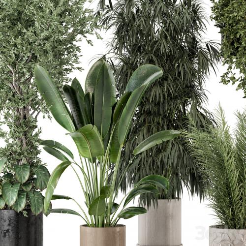 Indoor Plants in Ferm Living Bau Pot Large - Set 474