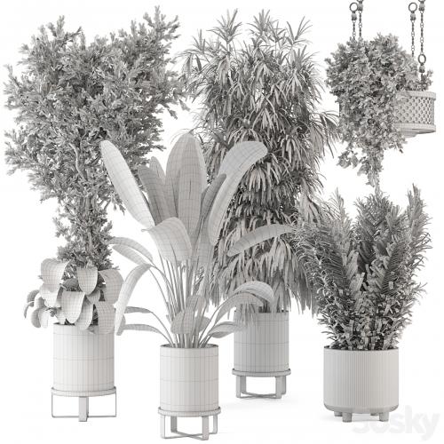 Indoor Plants in Ferm Living Bau Pot Large - Set 474