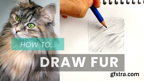 How To Draw Fur: Pencil Shading Techniques For Drawing Animals