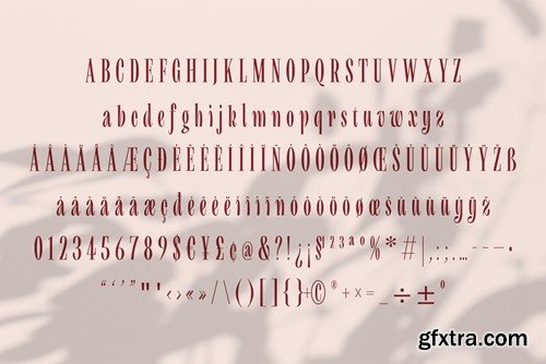 Polkywogenz - Condensed Serif 5YNHKQA