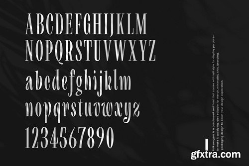 Polkywogenz - Condensed Serif 5YNHKQA