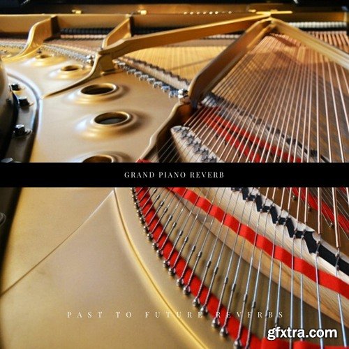 PastToFutureReverbs Grand Piano Reverb! (Steinway B)