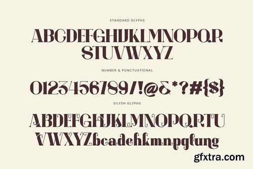 Hungda Elegant Serif Font Typeface C22W387