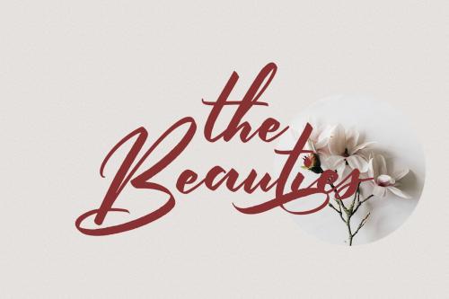 Oxydest Script Font