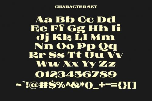 Rochek Vintage Serif Display Font