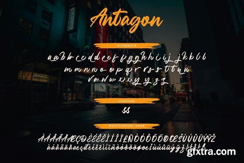 Antagon Brush Script Font B5U9NST