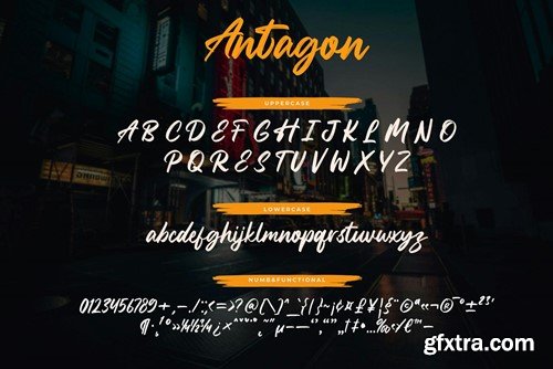 Antagon Brush Script Font B5U9NST