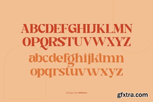 Qaque Decorative Serif Font J494LNE