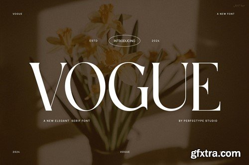 Vogue Elegant Serif Font Typeface CTGABFR