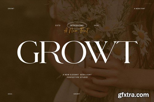 Growt Elegant Serif Font Typeface 252293P