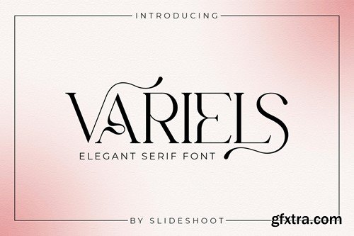 Variels Elegant Serif Font K6QQ6HG