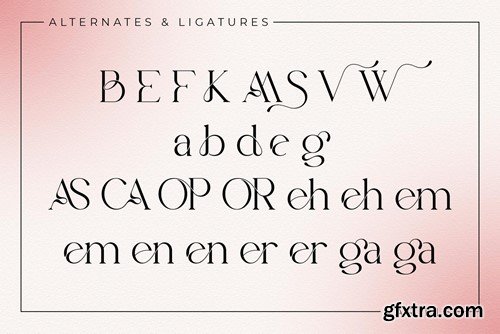 Variels Elegant Serif Font K6QQ6HG