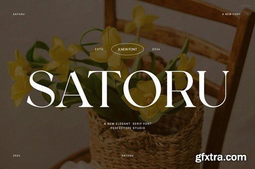 Satoru Elegant Ligature Serif Font Typeface D6RBM2V