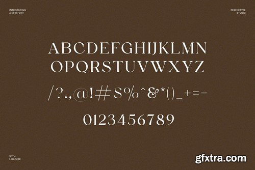 Satoru Elegant Ligature Serif Font Typeface D6RBM2V