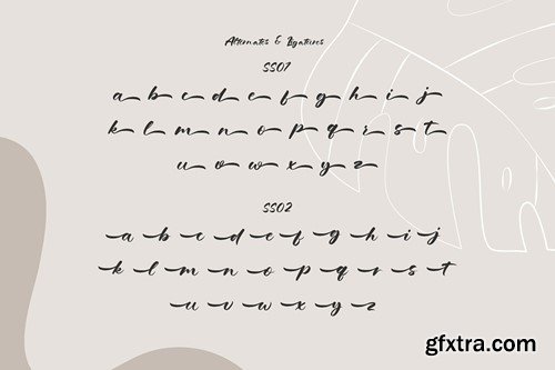 Grandma Salma - Hand Lettered Typeface 8U7XJME